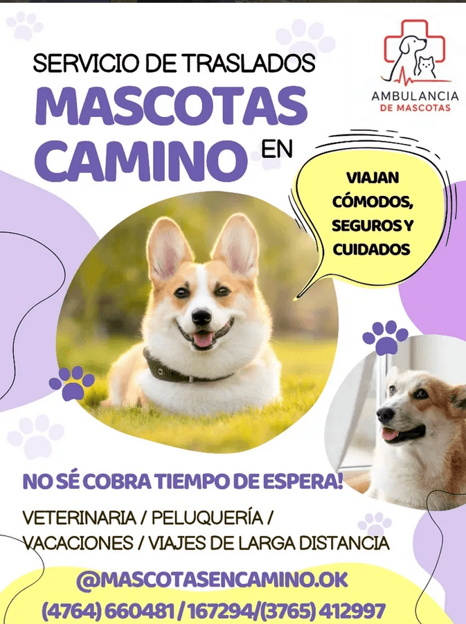 Mascotas en Camino — diseñado por María